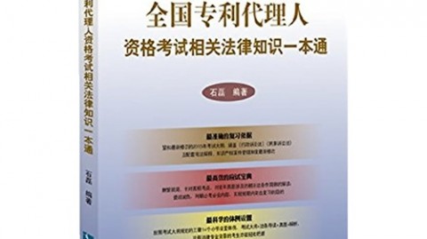 驳回复审不再“挠破头”？我跟AI搭子聊了聊，没想到这货还真有两把刷子！