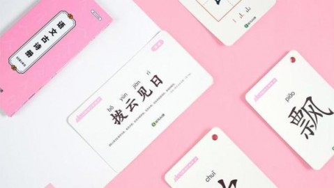 从0起步做斑马AI课代理：我的真实经历与避坑指南